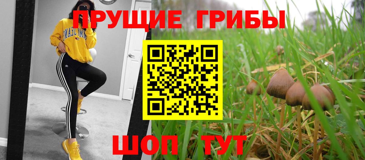 Псилоцибиновые грибы GOLDEN TEACHER  Галлюциногенные грибы прущие грибы  Вход с VPN  Соль-Илецк 
