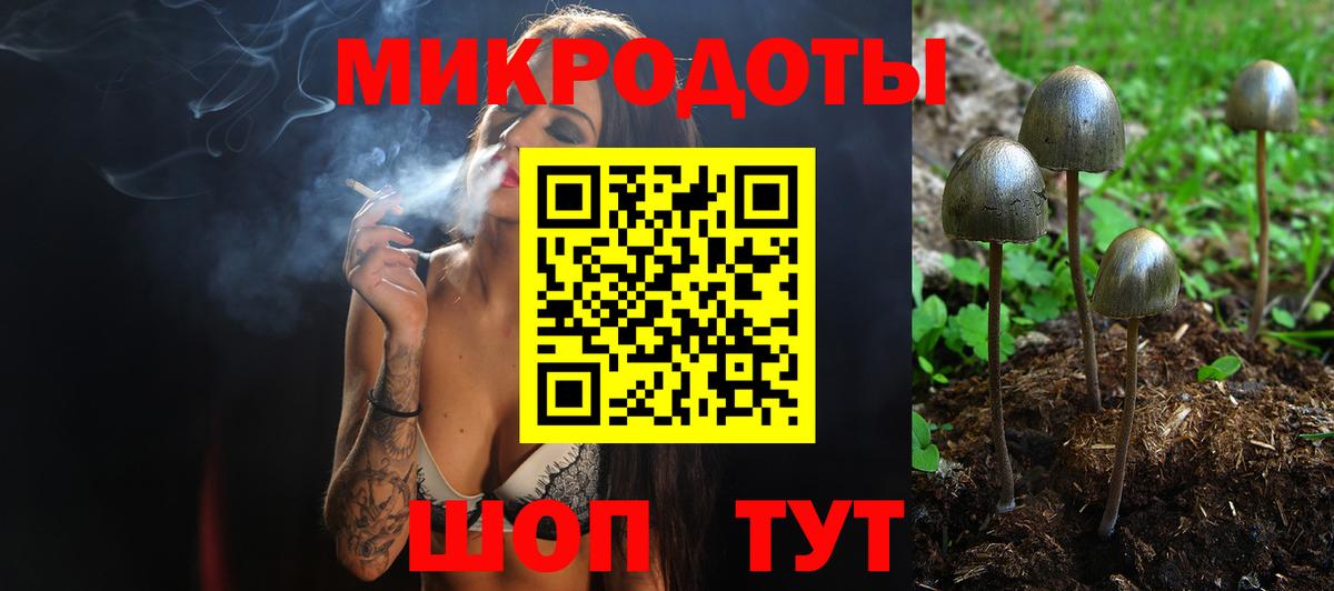 Галлюциногенные грибы Cubensis Соль-Илецк